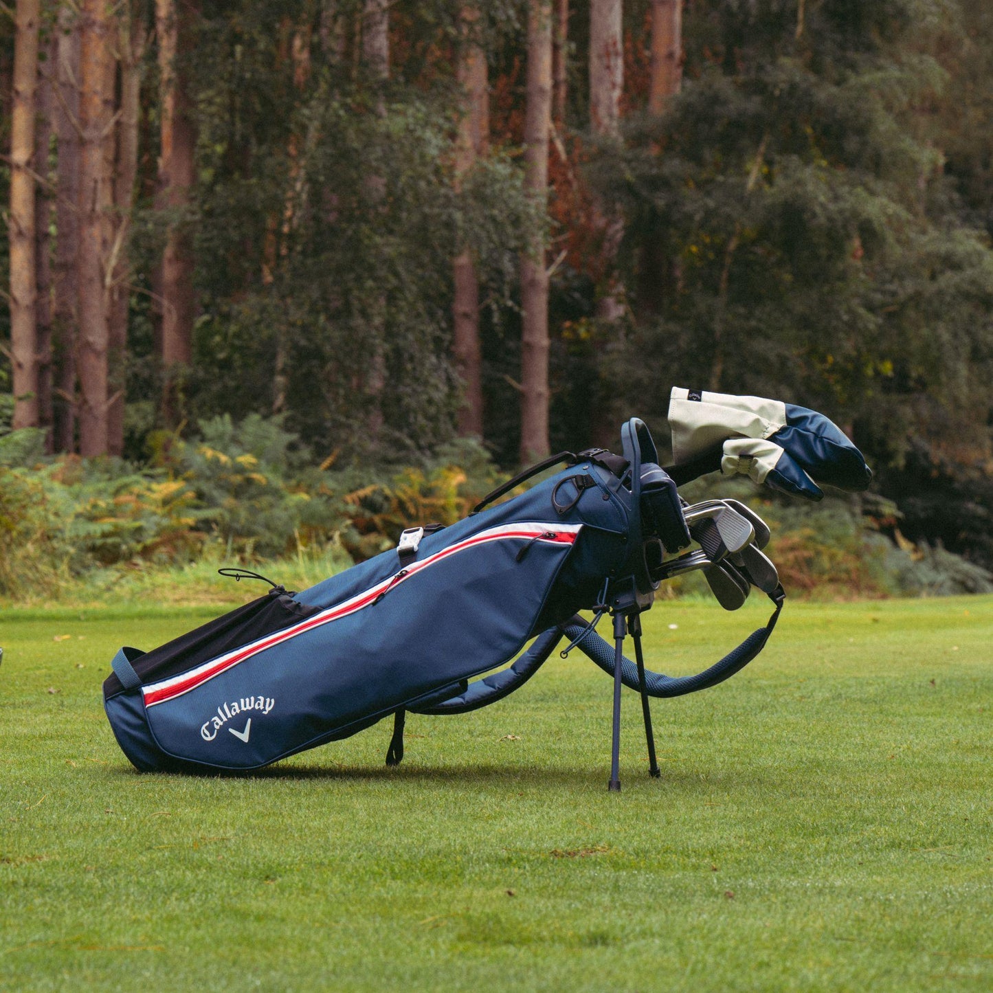 Callaway Carry Plus Standbag 2026