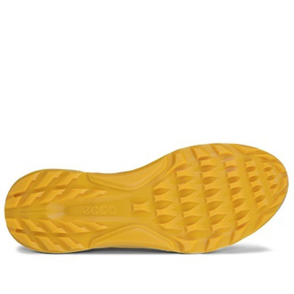 Ecco Biom C4 Hybrid Herrengolfschuhe grey-sunrise