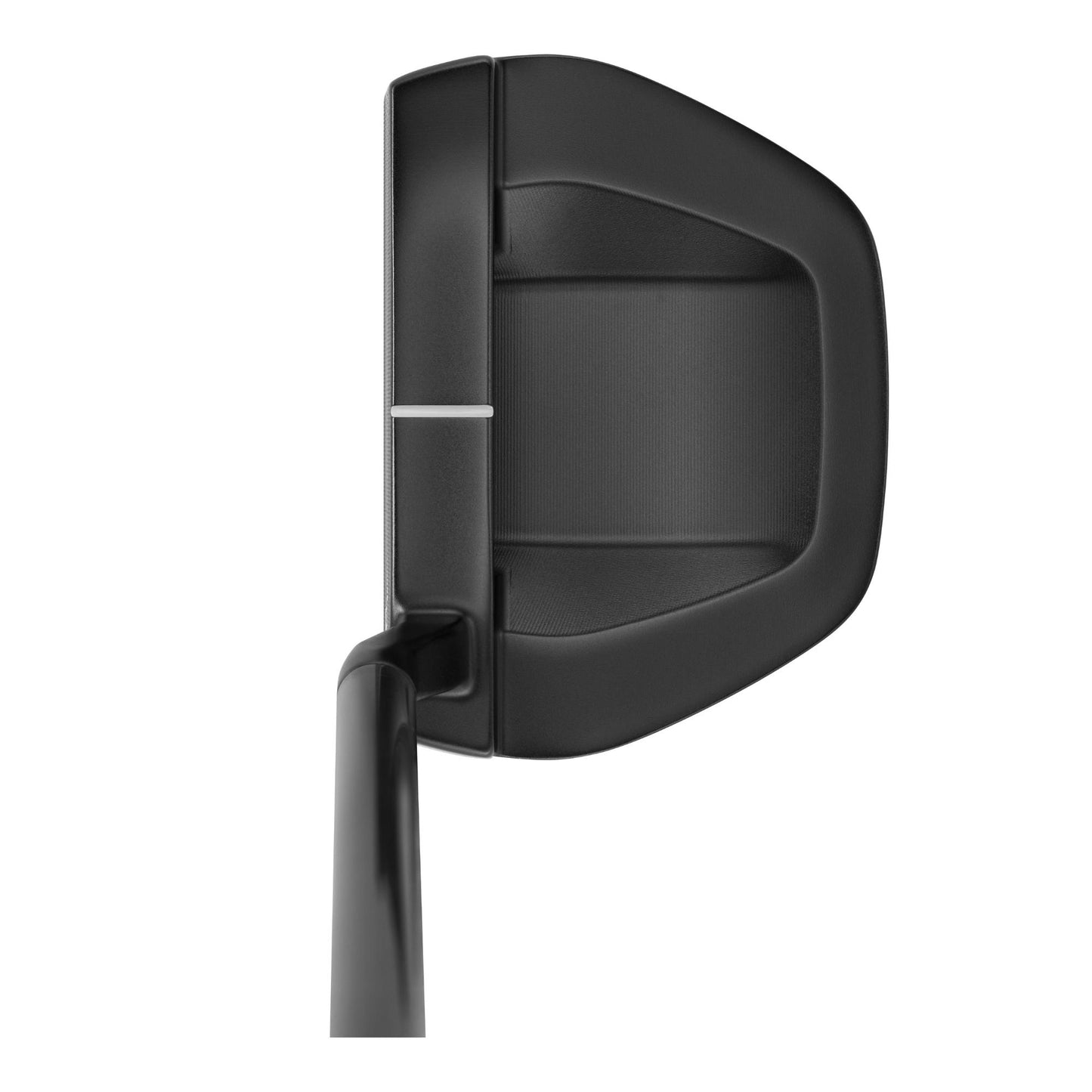 Mizuno M.Craft Nagoya S Gray IP Putter