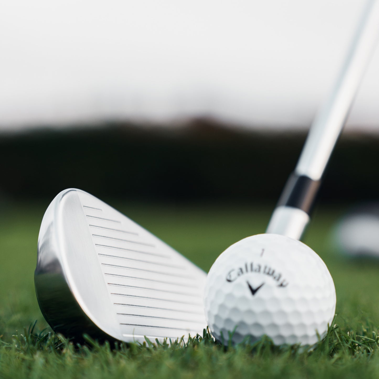 Callaway Quantum Max OS Eisen