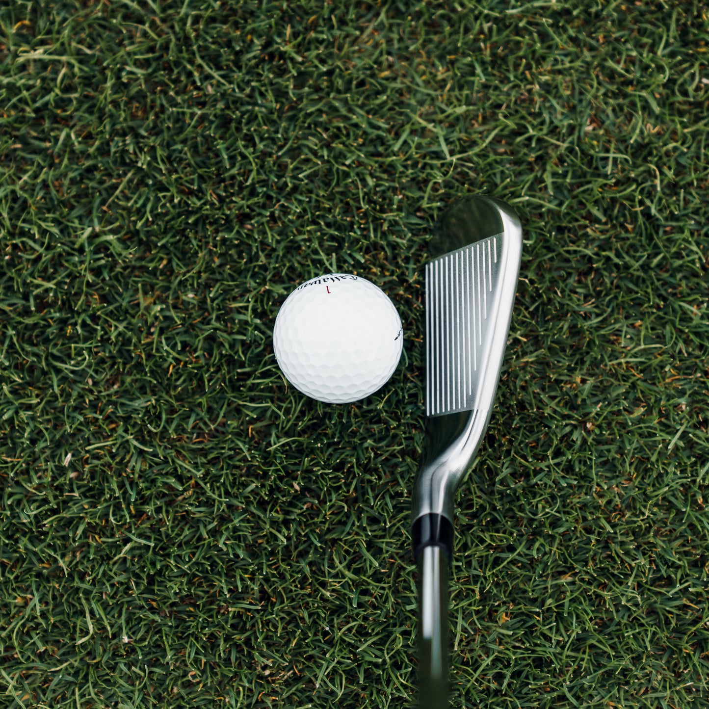 Callaway Quantum Max Eisen