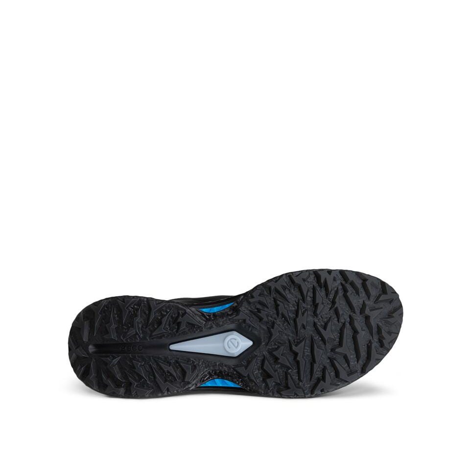 Ecco Biom C5 BOA GTX Herren Golfschuhe schwarz