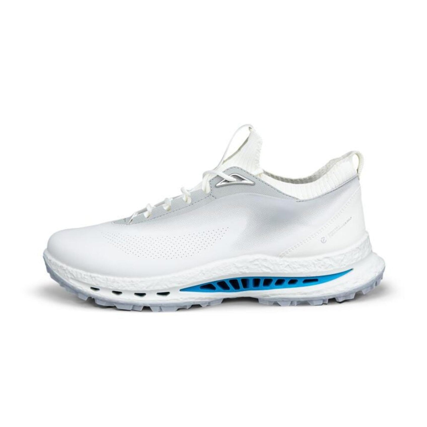 Ecco Biom C5 GTX Herren Golfschuhe weiß-concrete