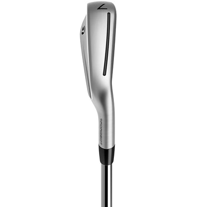 TaylorMade P790 Eisen 2023