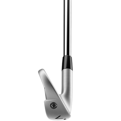 TaylorMade P790 Eisen 2023