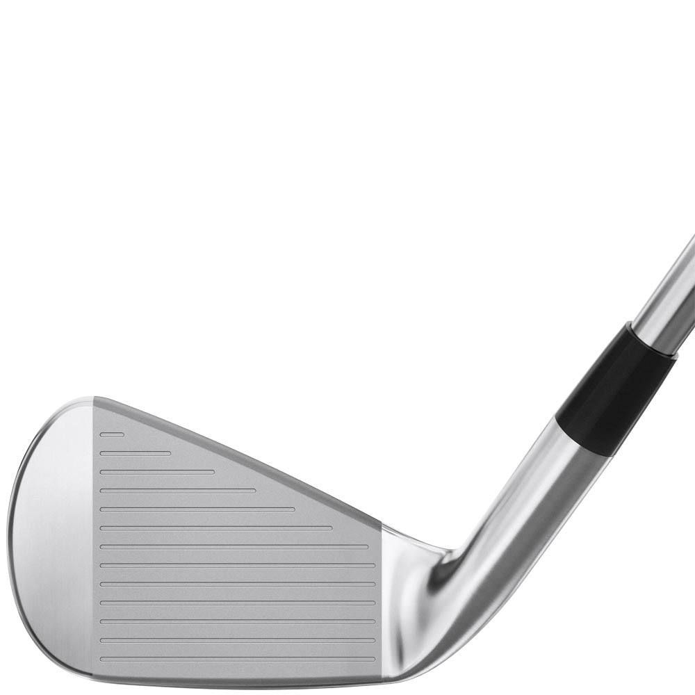 Mizuno Pro 245 Eisen