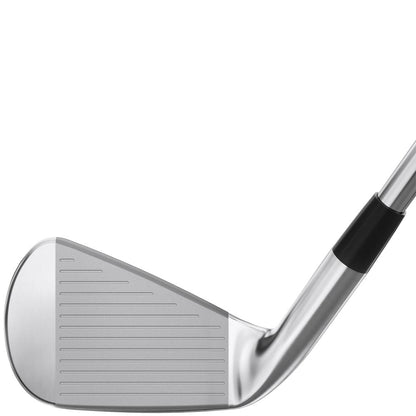 Mizuno Pro 245 Eisen