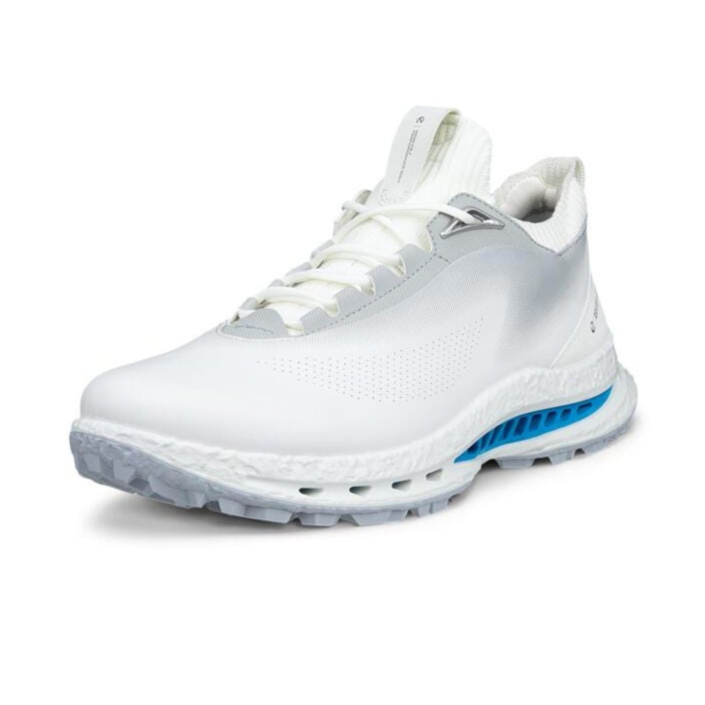 Ecco Biom C5 GTX Herren Golfschuhe weiß-concrete