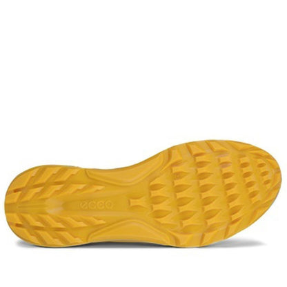 Ecco Biom C4 Hybrid Herrengolfschuhe grey-sunrise