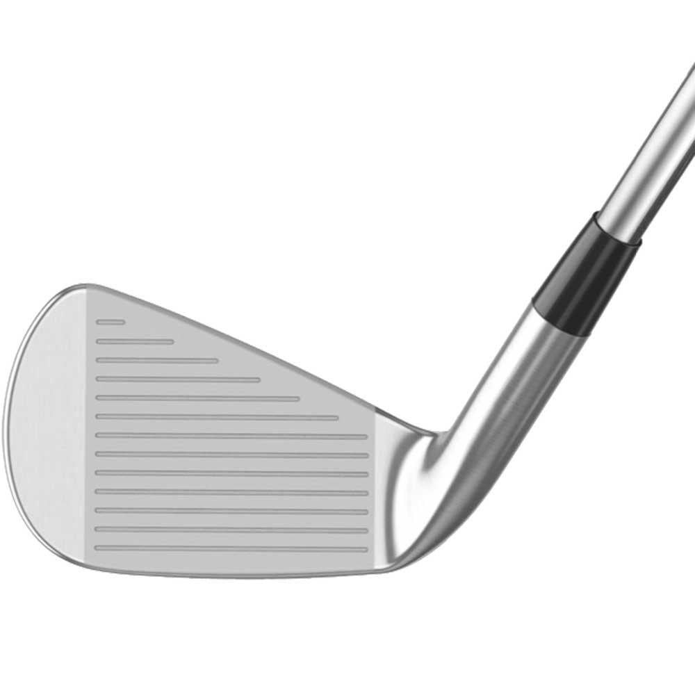 Mizuno Pro 243 Eisen