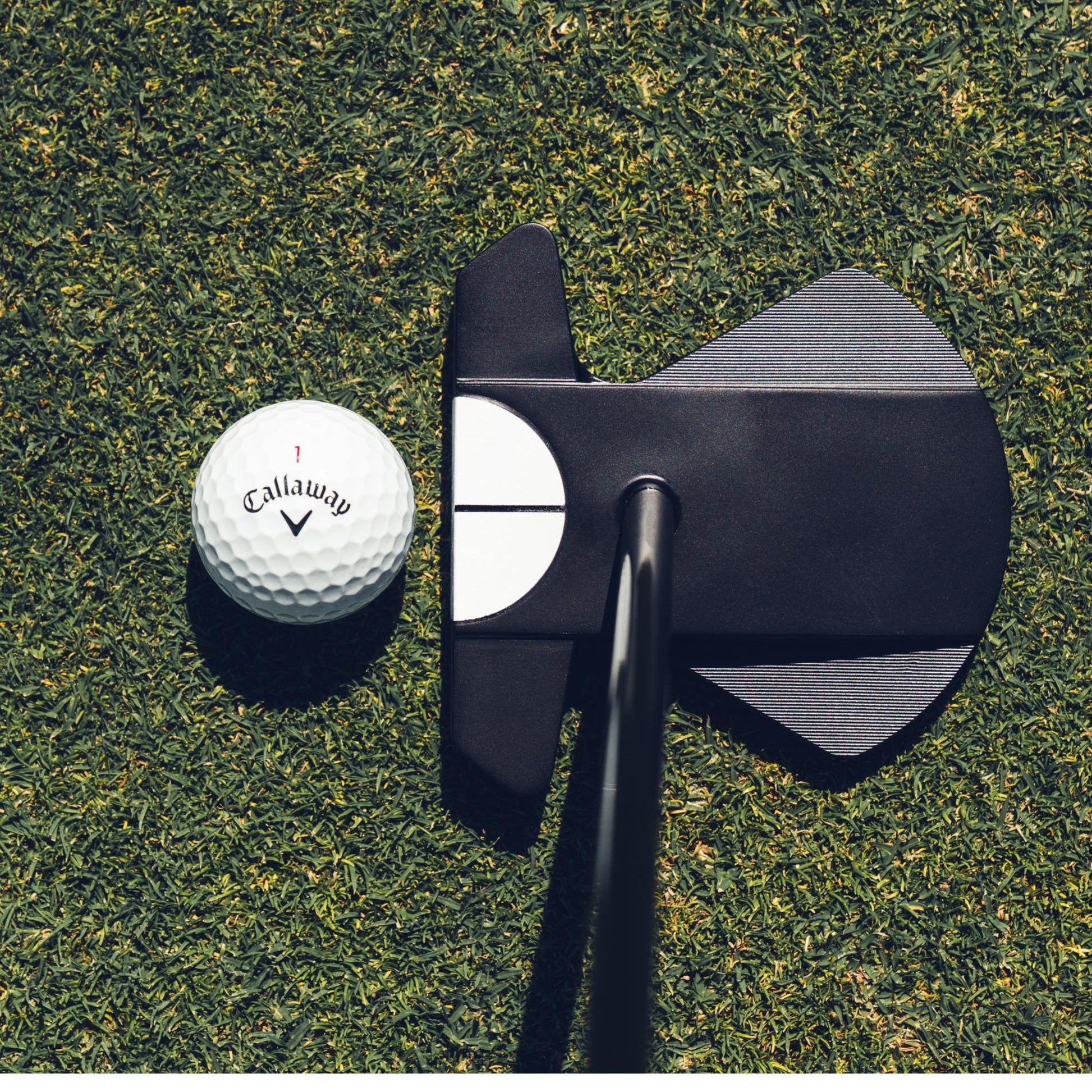 Odyssey Ai-DUAL Square2Square Max Half Ball Cruiser Putter